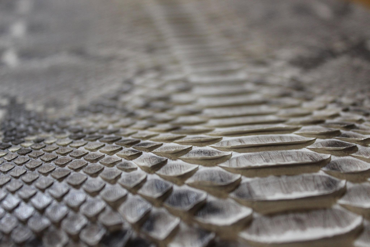 Macro detail of genuine python leather